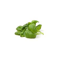 Check spelling or type a new query. Organic Basil Sweet 50 Grams The Green Grocer Manila