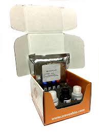 Image result for Phencyclidine