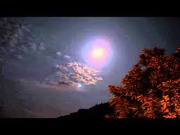 The Civil Wars Dance Me To The End Of Love Lyrics The Civil Wars Dance Me To The End Of Love W Lyrics Civil War Civilization Love W