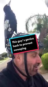 Genius Hack to Prevent Magpie Swooping