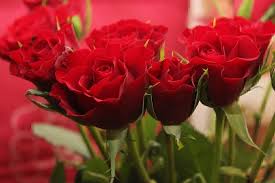 If there is a need to give someone money in another state it might be simpler to send them a check or postal money order. What To Do If You Need An Out Of Town Floral Delivery Twin Cities Consumers Checkbook