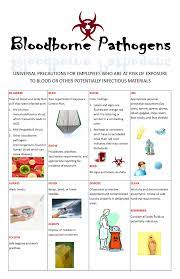 Bloodborne pathogens training free pdf. Http Www Catholicmutual Org Portals 0 Docs Risk Mgmt Cares Emp Safety Bloodborne Pathogens Pdf