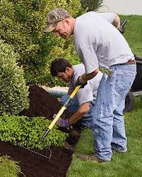 Yelp is a fun and easy way to find, recommend and talk about what's great and not so great in summerfield and beyond. Lawn Mowing Greensboro Yard Care Guilford Garden And Lawn Summerfield Oak Ridge