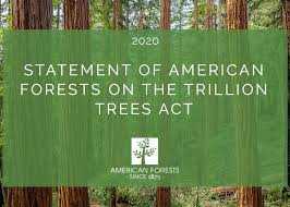 We specialise in larger size ornamental trees and shrubs in pots and bags with our focus on quality. Statement Of American Forests On The Trillion Trees Act American Forests