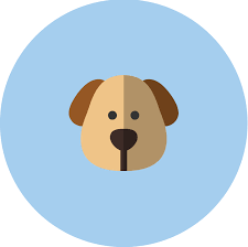 Maybe you would like to learn more about one of these? Poshpaws
