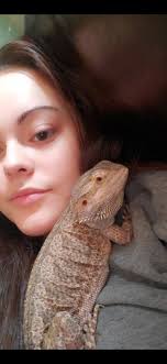 Bearded dragon won't eat after petco purchase