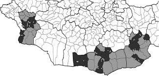 The test of the head is to find a camel, it's a test to see who can develop alzheimer's. Risk Factors Of Brucellosis Seropositivity In Bactrian Camels Of Mongolia Bmc Veterinary Research Full Text