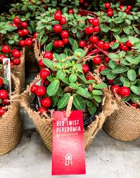 Check spelling or type a new query. Loblaws Supermarkets 18 Photos 16 Reviews Grocery 50 Musgrave Street Toronto On Phone Number