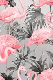 I Love Wallpaper Flamingo Wallpaper Pink Soft Grey Pink Flamingo Wallpaper Flamingo Wallpaper Funky Wallpaper