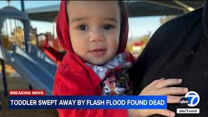 The everything app': What Elon Musk's rebranding of Twitter to X could mean  for future of his companies