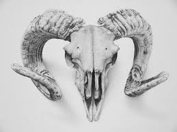 Download 740+ royalty free goat skull vector images. Goat Skull By Nicofey On Deviantart