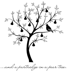 373 songs downloaded 11,713 pages read total (averaging 32 pages read per day and an average book length of 433 pages) Partridge In A Pear Tree Technique Junkies