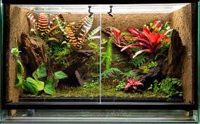 The Best Vivariums for Your Pet - A-Z Animals