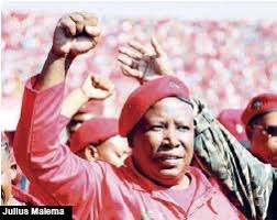 Julius malema, south african politician known for his fiery outspoken nature and inspiring oratory. Malema Eff Members Demand Mboweni Sacking Pressreader