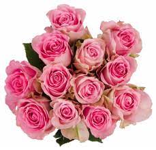 Check spelling or type a new query. Bloom Haus Pink Roses 12 Stems Kroger