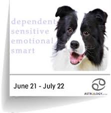 Well now, you can add smelling cancer to your list! Cancer Canine Horoscopes Astrology Com Au