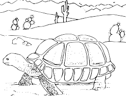 Silahkan sobat buka gambar yang akan di print hitam putih. Turtle Tortoise Reptile Black And Free Vector Graphic On Pixabay