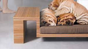 Modern Pet Furniture Creative Ideas