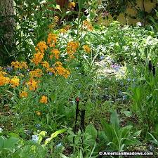 We did not find results for: Pin On Vibrant Shade Gardens