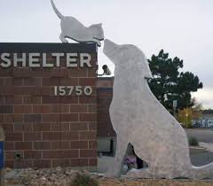 Enforcing denver county animal ordinances. Aurora Animal Shelter City Of Aurora Version1