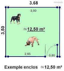 Suivez l'actualité dans notre combat pour le bien être des animaux. Animaux Chiot Chaton Centre Leboncoin