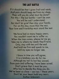 When you have a sick dog, it can be extremely stressful. Prayer For Sick Dog Doggies
