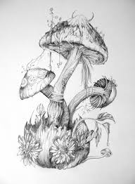 Mushrooms By 6vladimira6 On Deviantart Mushroom Art Fairy Drawings Mushroom Drawing Mushroom hand drawn vector seamlees pattern. mushroom art fairy drawings