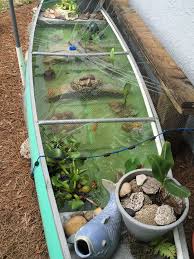 Koi Care Com Home Page Indoor Water Garden Ponds Backyard Water Features