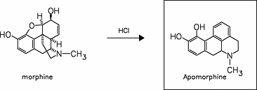 Image result for Apomorphine