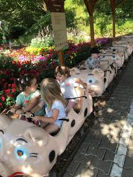 Check spelling or type a new query. Ausflug In Den Bayern Park Mit Vielen Begeisterten Kindern Mamas Und Papas Bvs Bayern