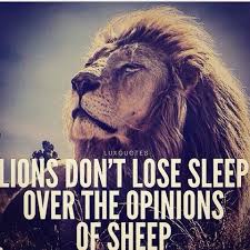 Wolf and sheep quotations to help you with counting sheep and funny sheep: Lions Don T Lose Sleep Over The Opinions Of Sheep Best Quotes Success Bestquotes