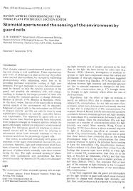 Firstsearch.oclc.org address for accessing the journal using authorization number and password through oclc firstsearch electronic collections online. Stomatal Aperture And The Sensing Of The Environment By Guard Cells Sheriff 1979 Plant Cell Amp Environment Wiley Online Library