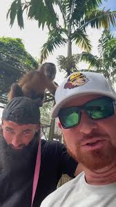 Always love seeing Romeo, my favorite capuchin monkey. Spring trainin...