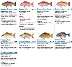 Fwc Saltwater Fishing Regulations Chart