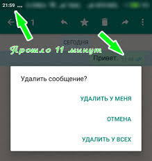 Podstava S Udaleniem Soobshenij V Whatsapp O Zhizni Virtualnoj I Realnoj