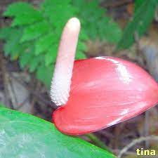 pin on test 1