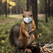 Benny The 🦄Squirrel 🐿 on Twitter: "Bullying is NOT game. Regardless the  topic there is never a reason for bullying. PTSD is real. #Respect #BB19… "