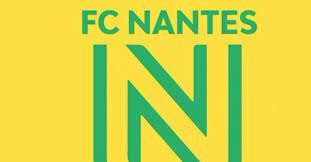 Twitter officiel du don bosco nantes football gaélique. Le Nouveau Logo Du Fc Nantes Met En Colere Ses Supporteurs Le Huffpost