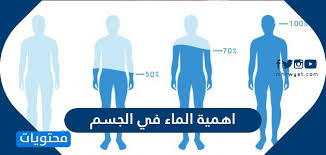 أهمية الماء في جسم الانسان موقع محتويات