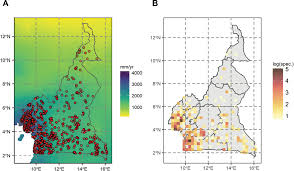 Image result for Polyceratocarpus gossweileri