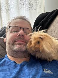 Give these 2 a chance! Perfect and neutered!!