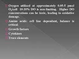 Check spelling or type a new query. Introduction To Animal Cell Culture Introduction Cell Culture