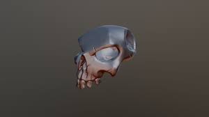 Stronghold Skull | The Sea Of Thieves Wiki