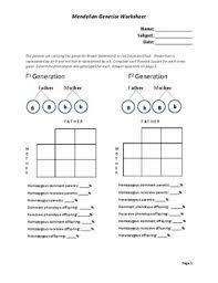 If two heterozygotes have children, what is the chance that a child will have normal skin pigment? Mendelian Genetics Worksheet By Carla S Creations Tpt