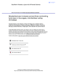 Image result for Chlorophytum bulbinifolium