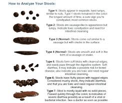 78 Explanatory Poop Chart Poster