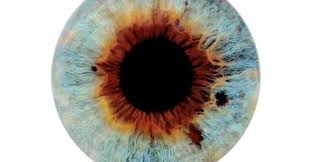 Image result for i origins