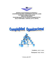 Complejidad organizacional