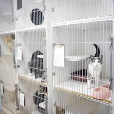 We did not find results for: Veterinary Services Companion Animal Clinic
