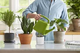 Check spelling or type a new query. Growing Plants With Lights Best Grow Lights The Home Depot Canada